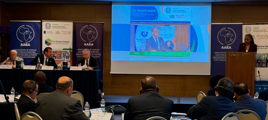 Executive Peer Learning Mission