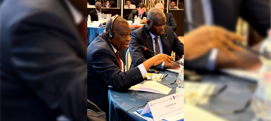 Executive Peer Learning Mission