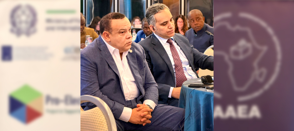 Executive Peer Learning Mission