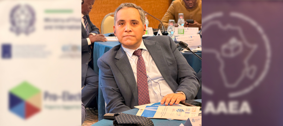 Executive Peer Learning Mission
