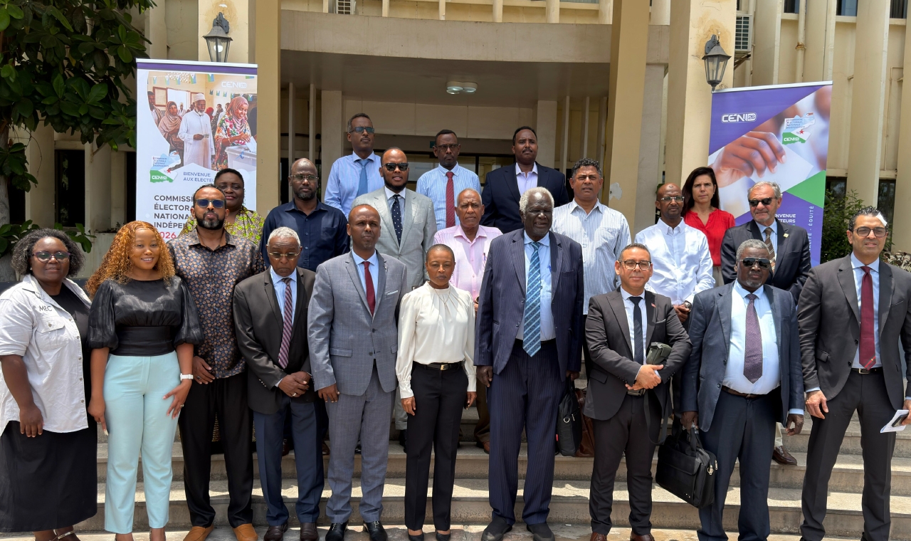 AAEA Peer Learning Mission Djibouti