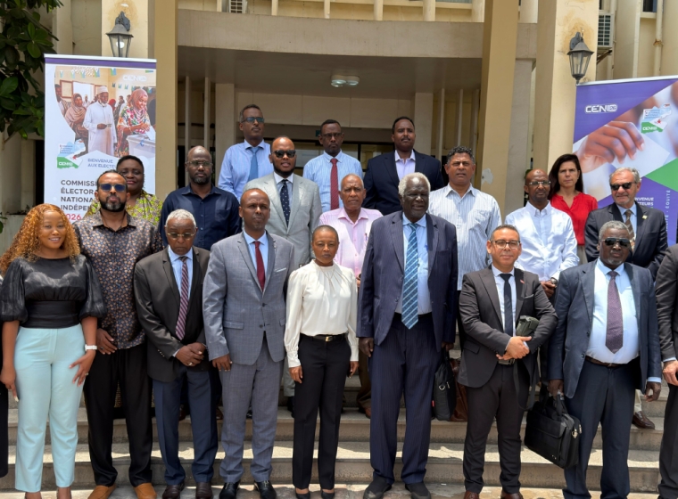 AAEA Peer Learning Mission to Djibouti