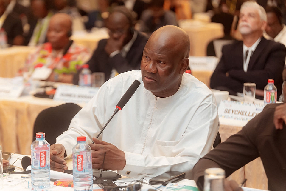 AAEA Members Embark on Peer Support and Learning Mission to Nigeria ahead of the 2023 General Elections